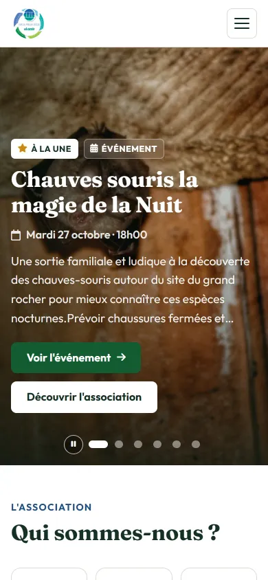 Site ULAMIR CPIE après la refonte, vue téléphone